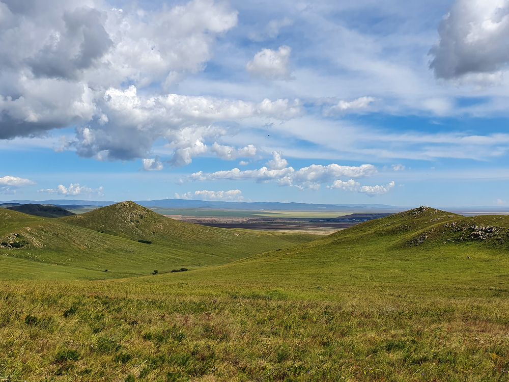 Photograph by Дарья