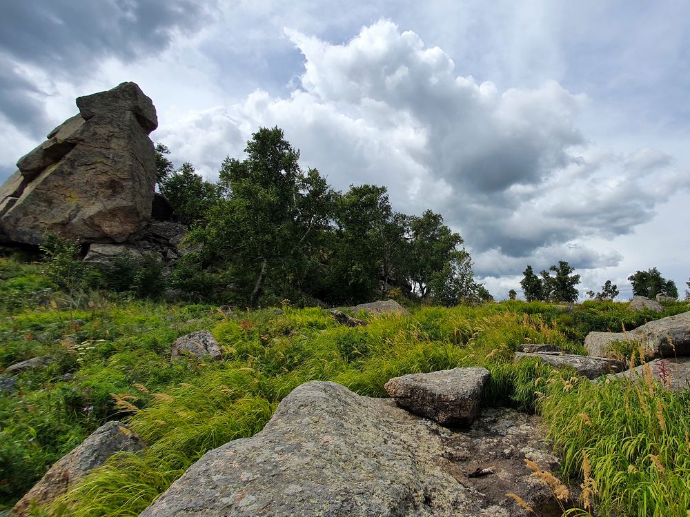 Photograph by Дарья