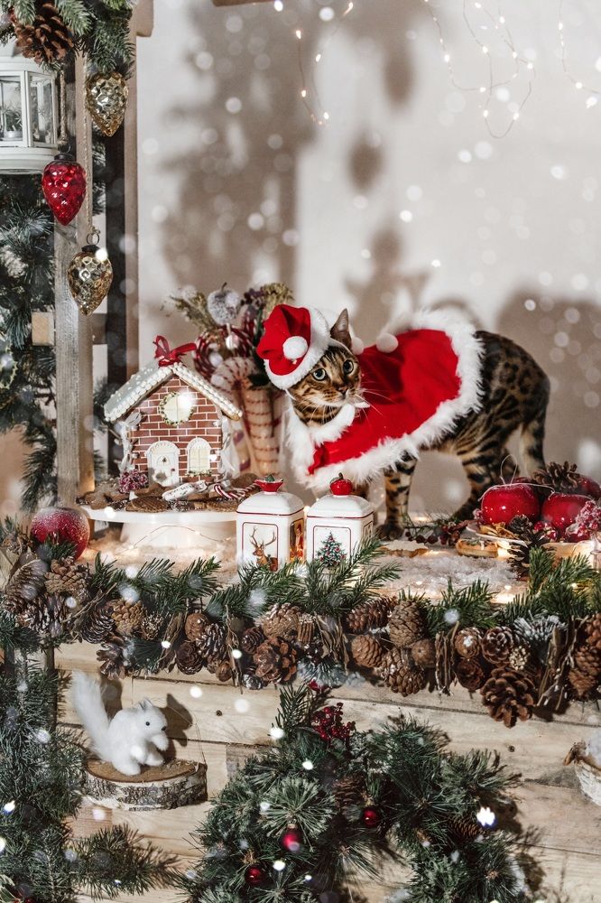 Photograph by Katsiaryna Yarmantovich