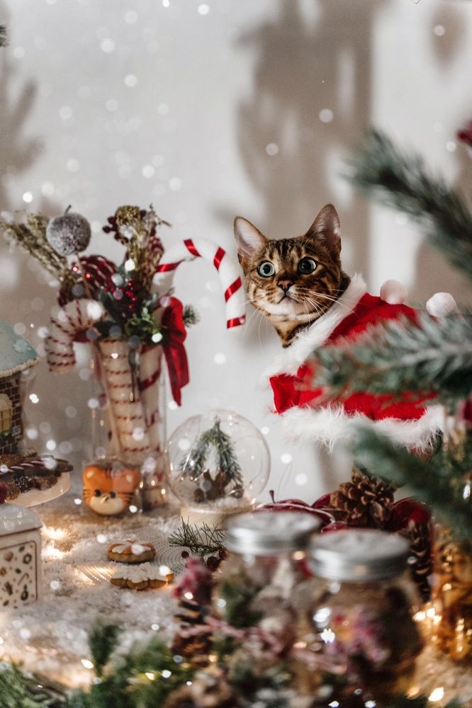 Photograph by Katsiaryna Yarmantovich