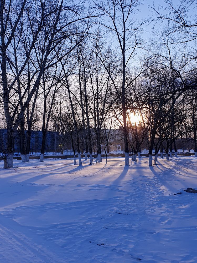 Photograph by Дарья