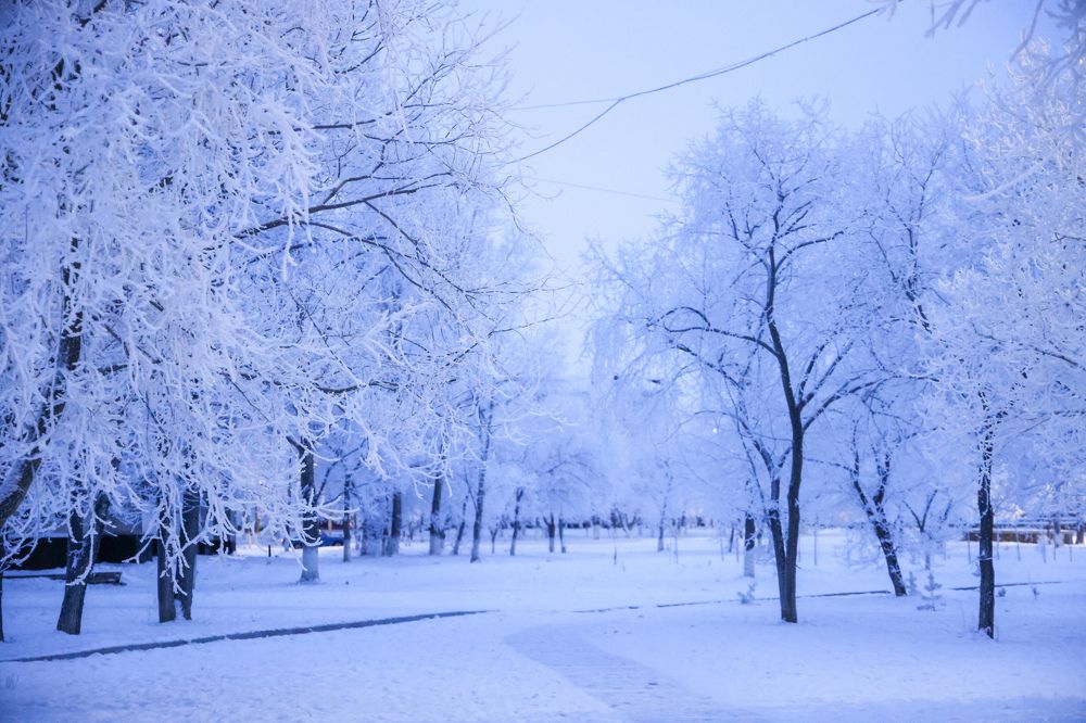 Photograph by Дарья