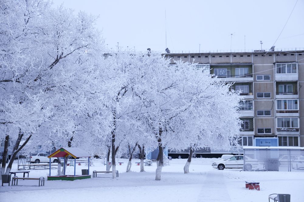 Photograph by Дарья