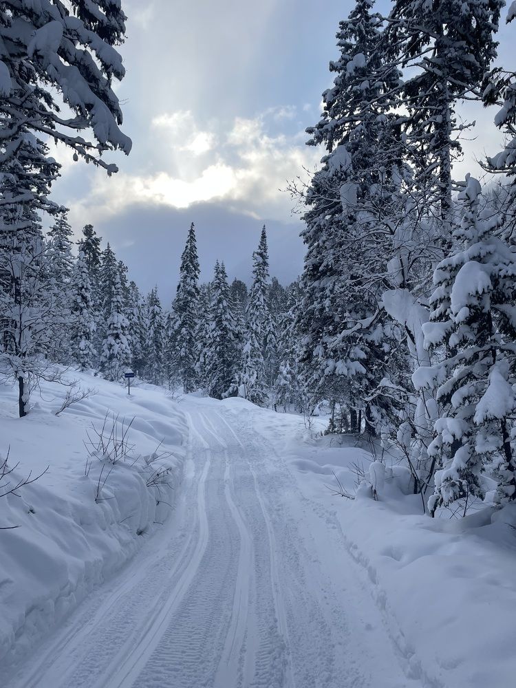 Photograph by Марьяна