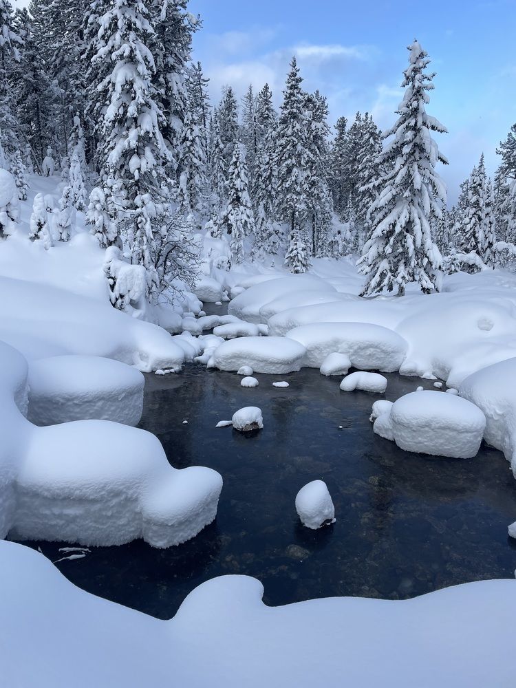 Photograph by Марьяна