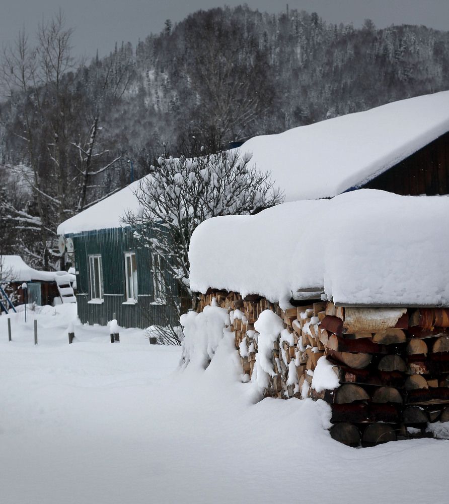 Фотография автора Любовь Харина