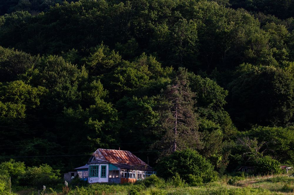 Photograph by Николай Абрамов