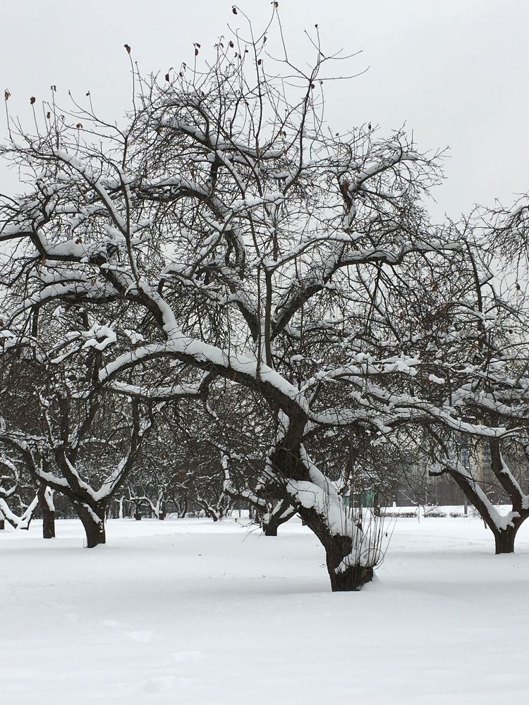 Photograph by Елена Макуха