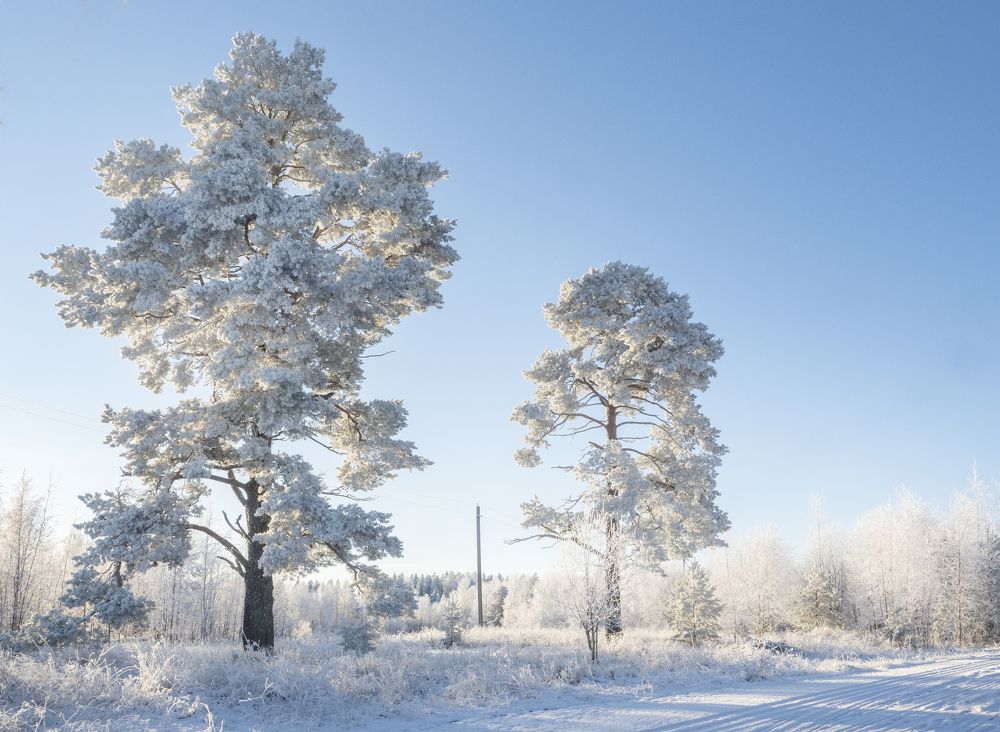 Photograph by Галина Михоношина