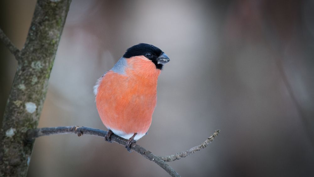 Photograph by Sofia Belyaeva