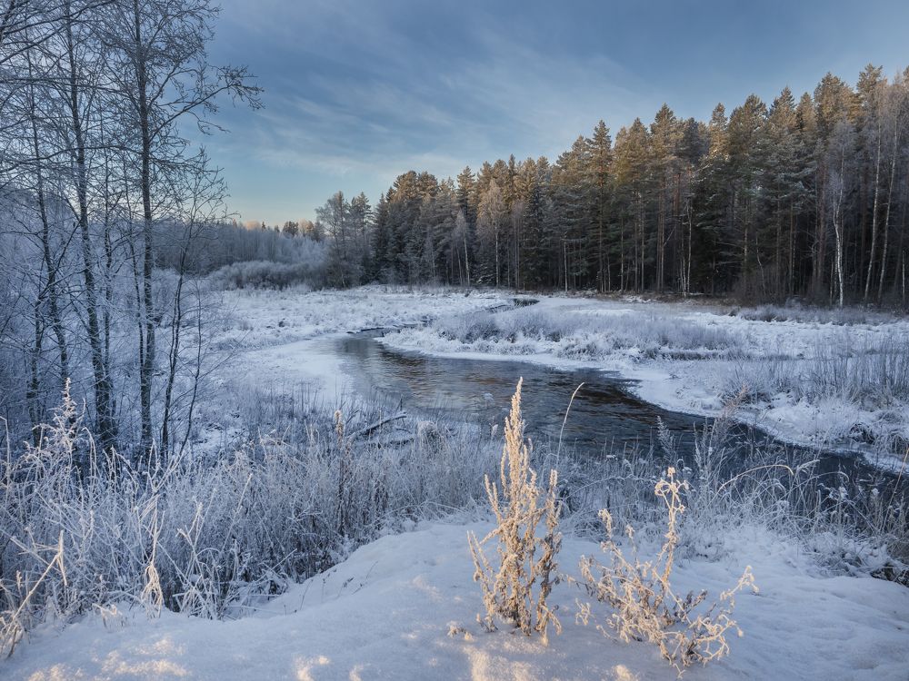 Photograph by Галина Михоношина