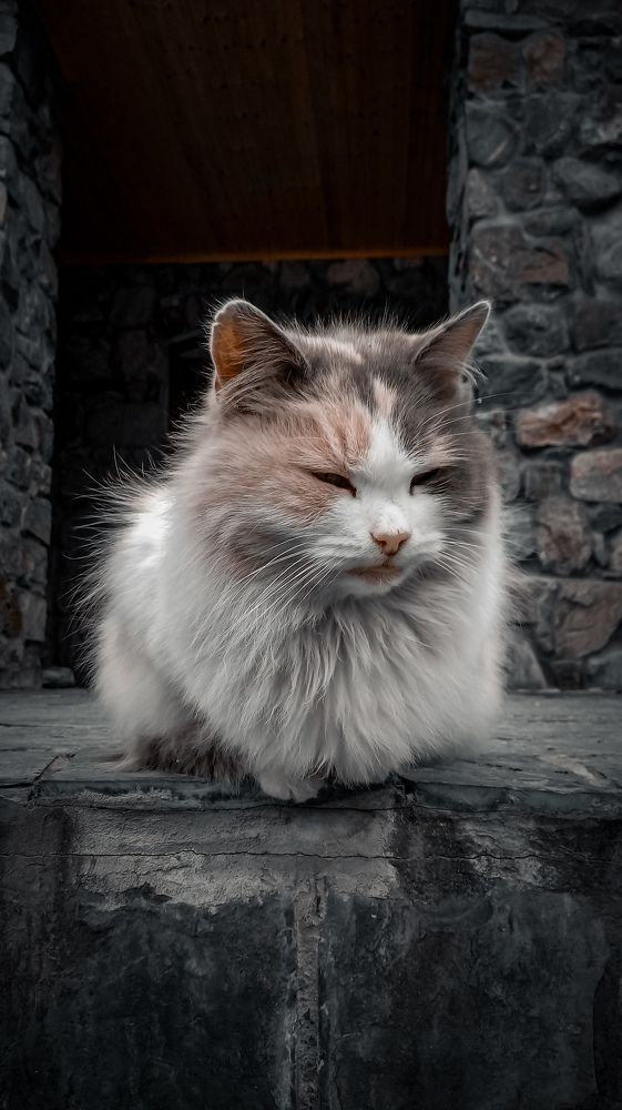 Photograph by Лия