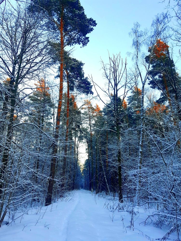 Photograph by Екатерина