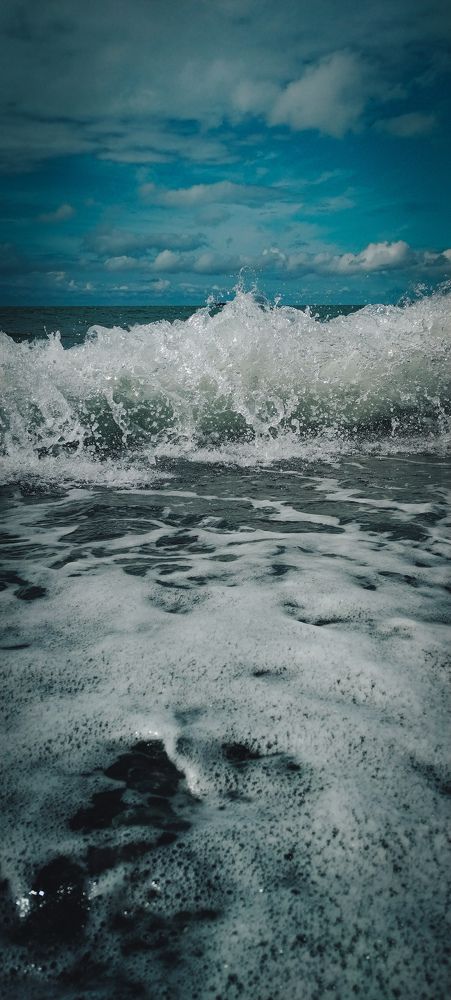 Photo #10132270