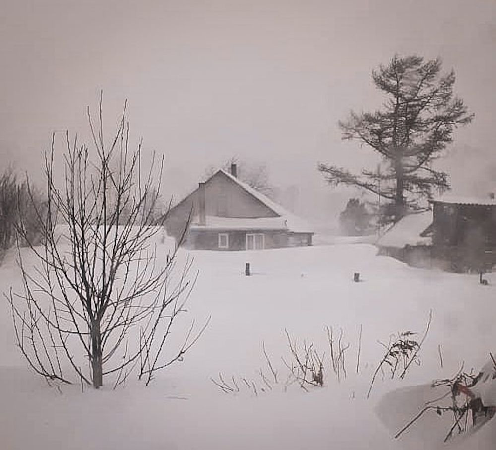 Photograph by Наталья Вострикова