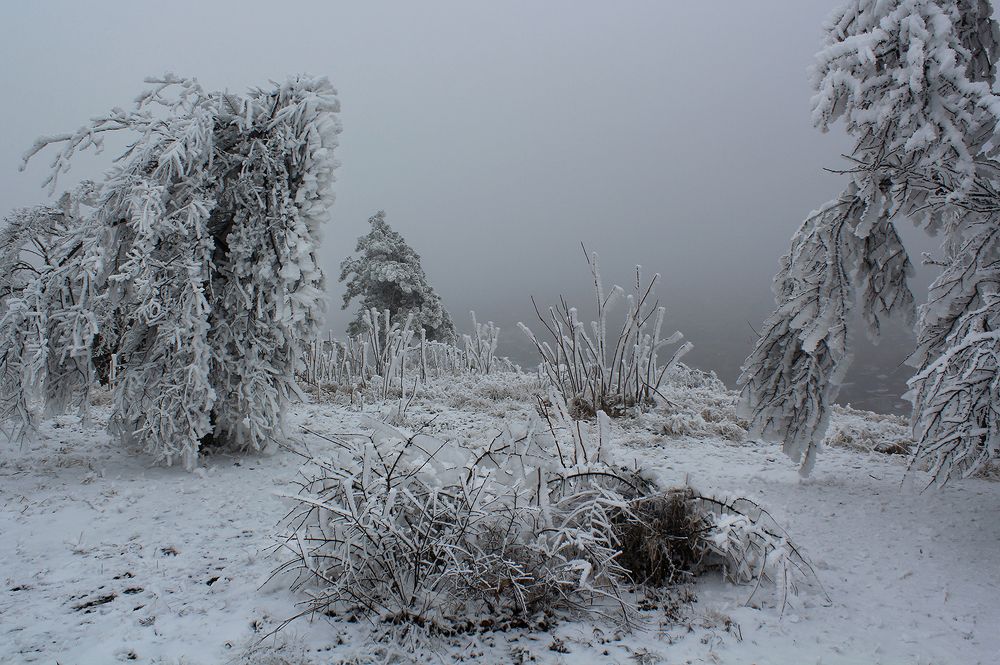 Photograph by Сергей