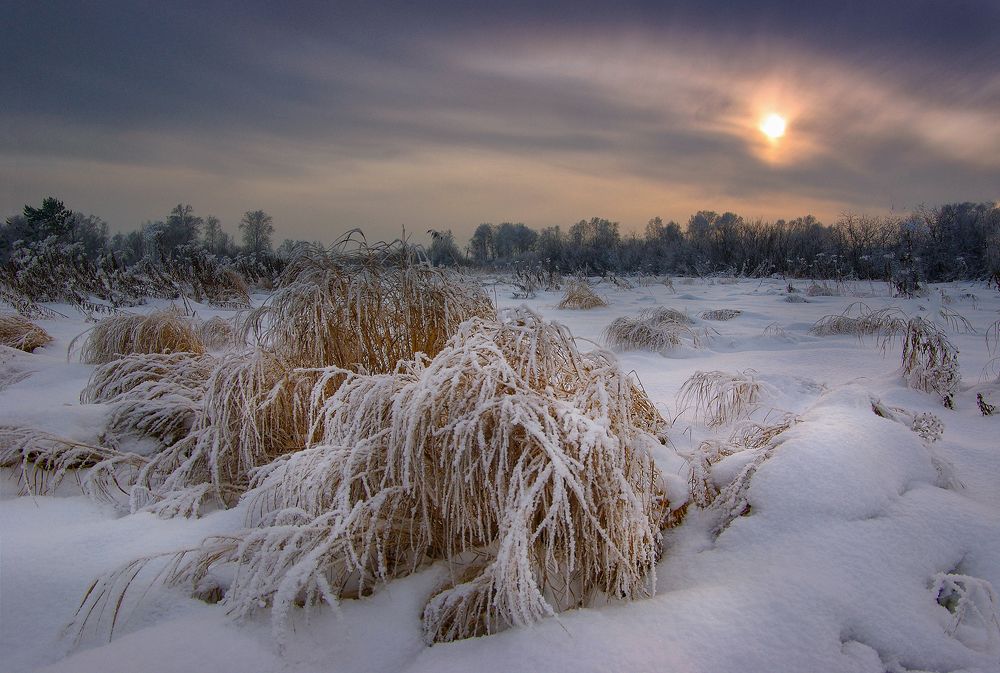 Photograph by Чичкин Валерий