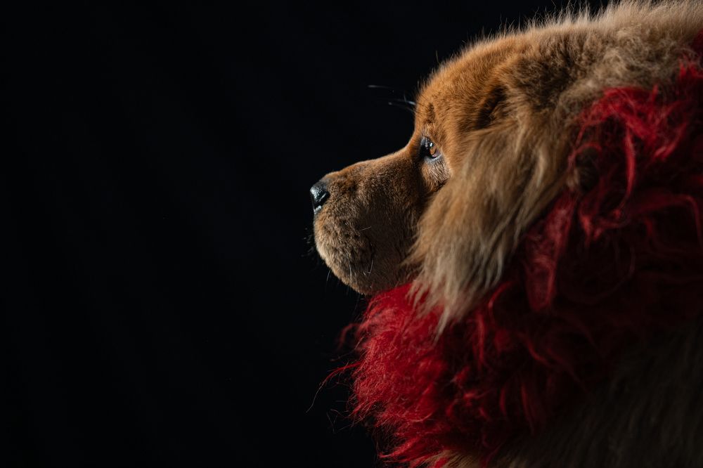 Photograph by Елена Якусева