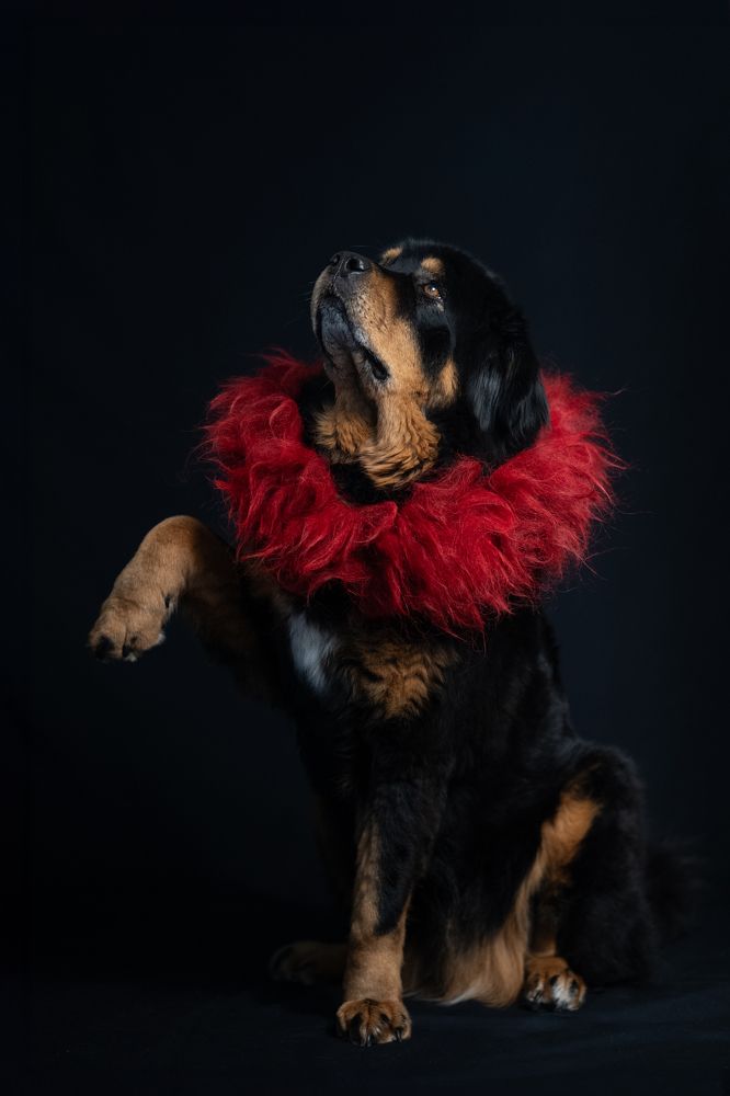 Photograph by Елена Якусева