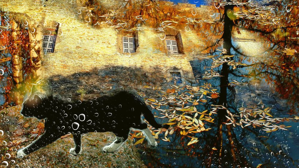 Photograph by Zinaida Nesselmann