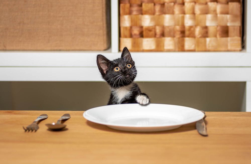 Photograph by Гера Восьмая