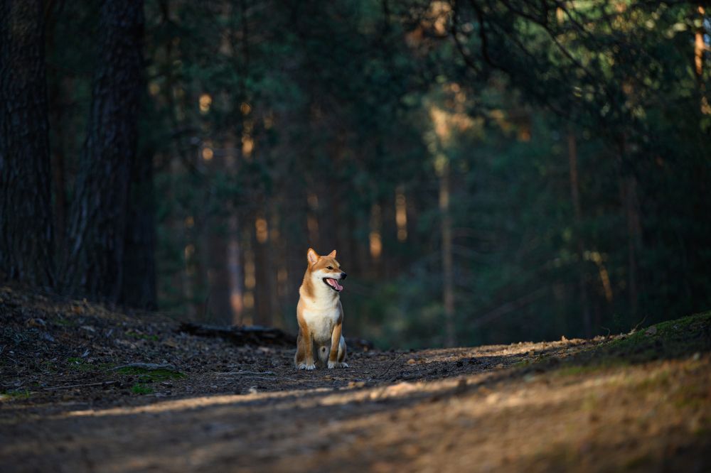 Photograph by Елена Якусева