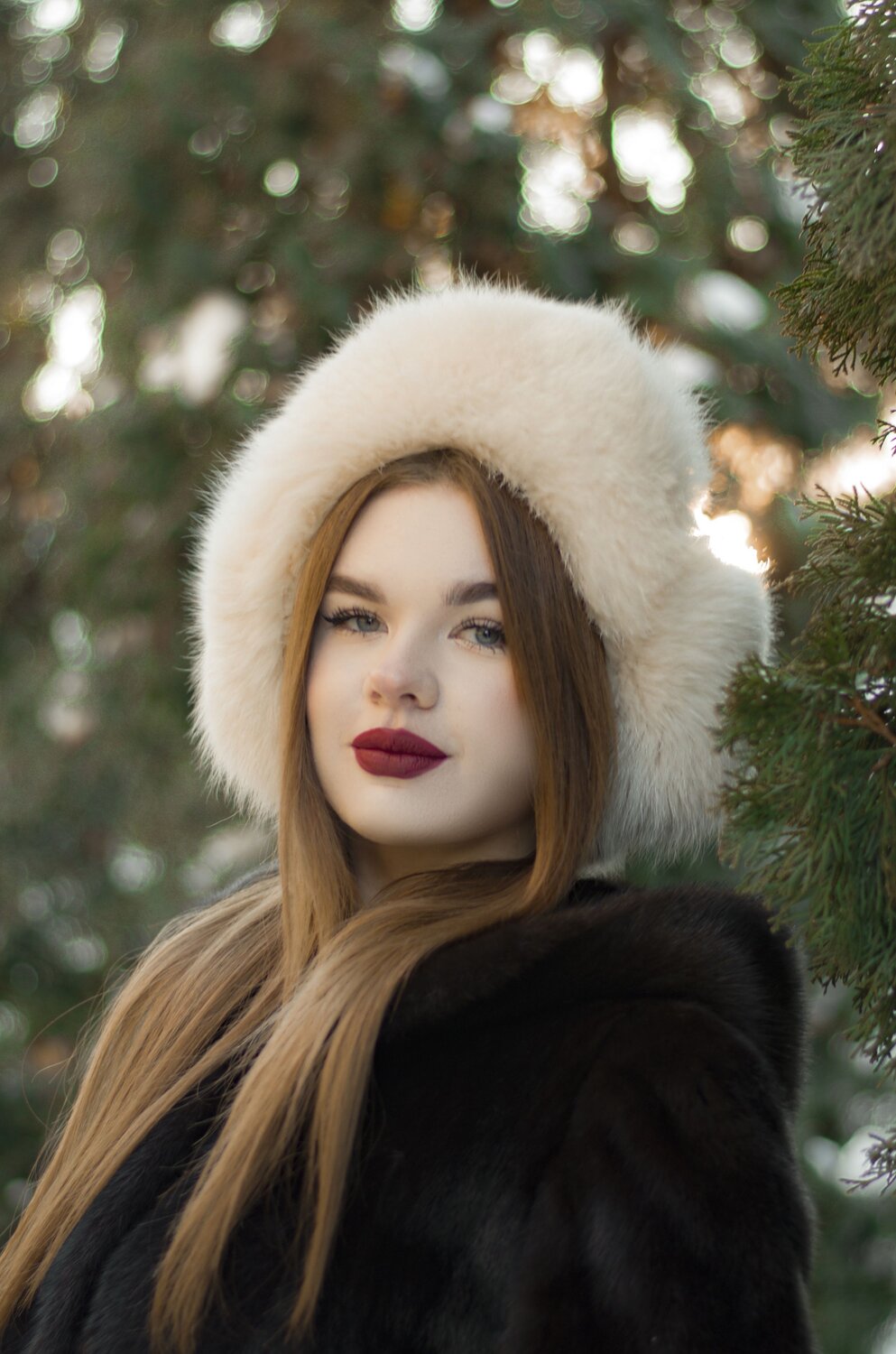 Photo #10132513