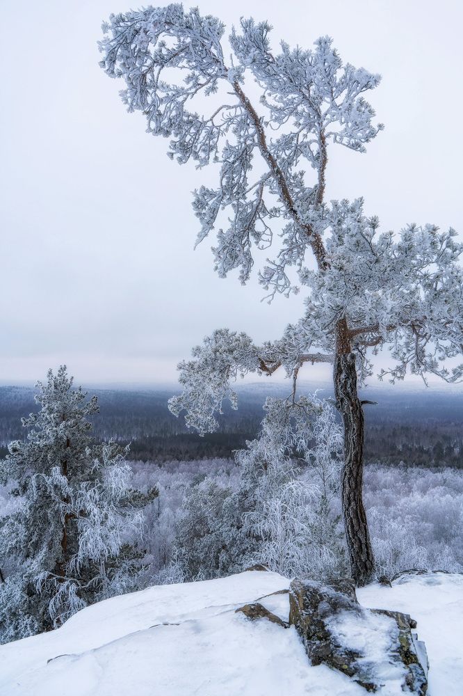 Photograph by Анастасия Глазюк