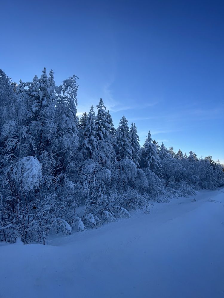 Photograph by Марьяна