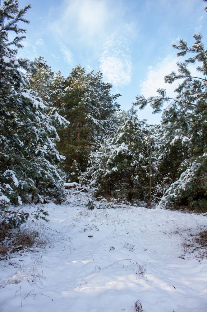 Photograph by Иван Полиненко