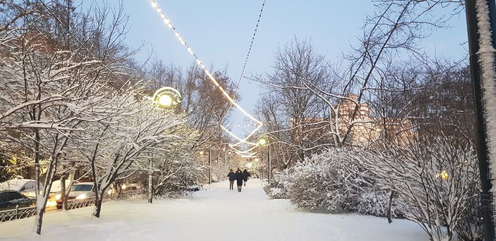 Фотография автора Ольга Мусина