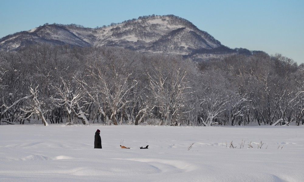 Photograph by Ения Семина