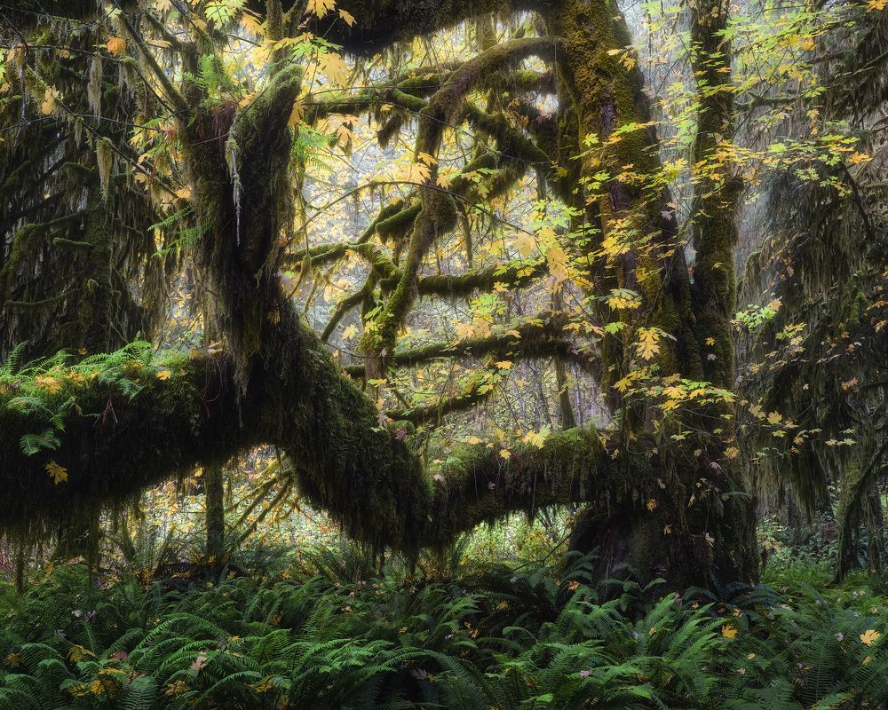 Photograph by Han Jinyi