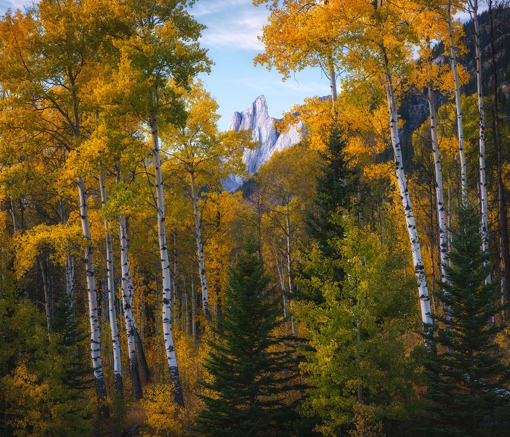 Photograph by Han Jinyi