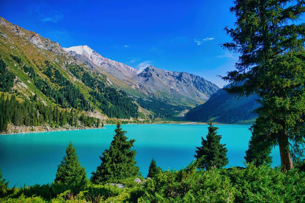 Photograph by Михаил Ноеренчук