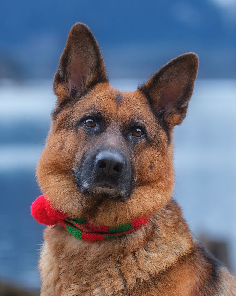 Photograph by Han Jinyi