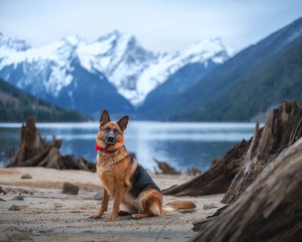 Photograph by Han Jinyi