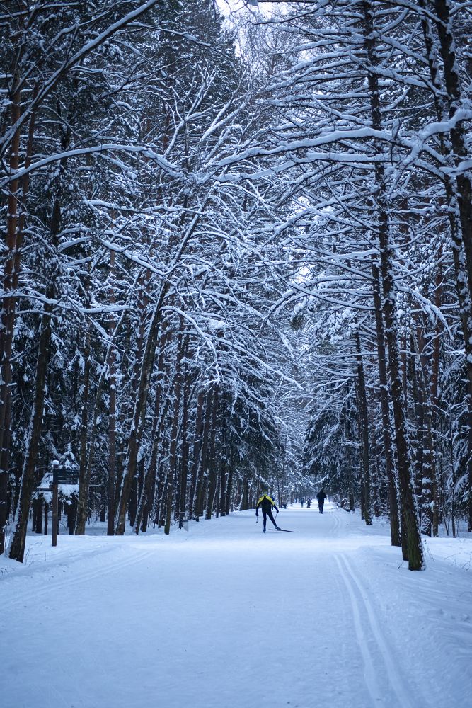 Photograph by Никита