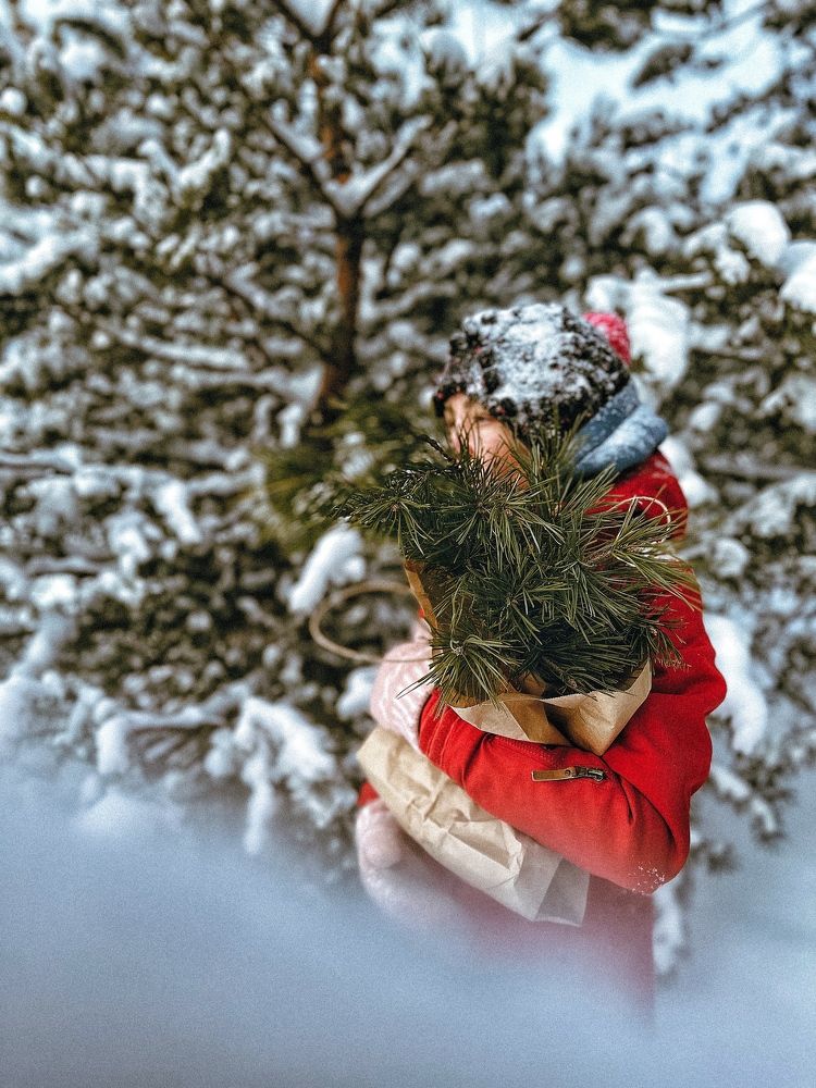 Photograph by Ольга