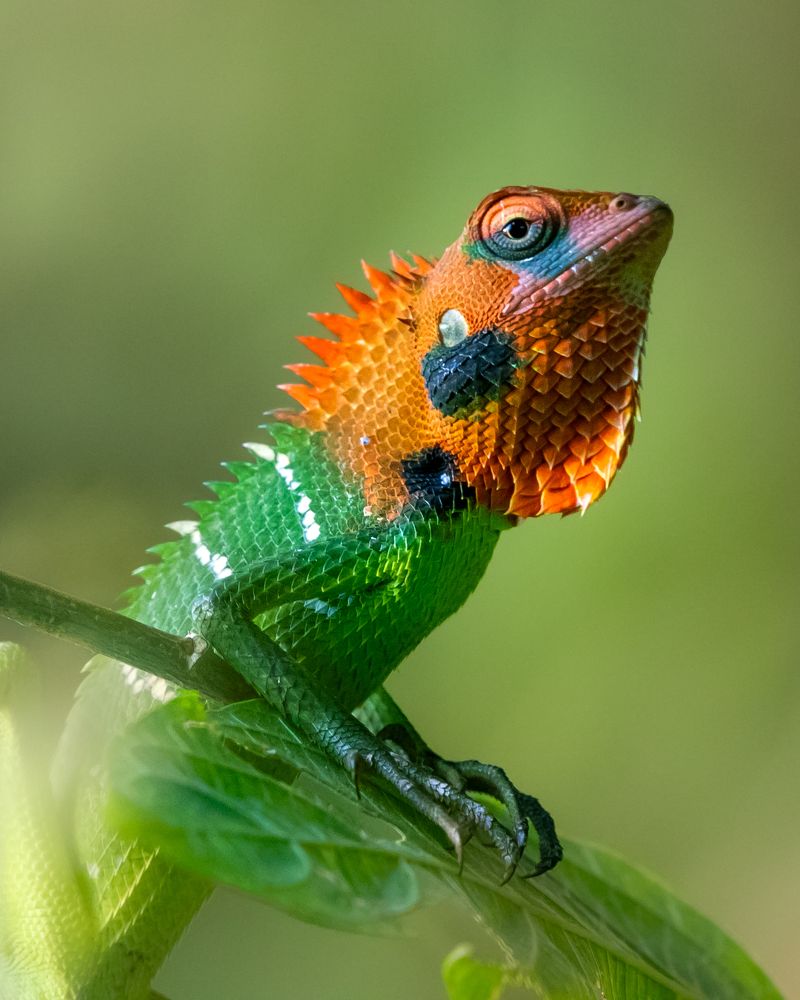 Photograph by Jemy Jose Mathew