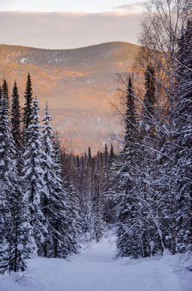 Photograph by Татьяна Титова