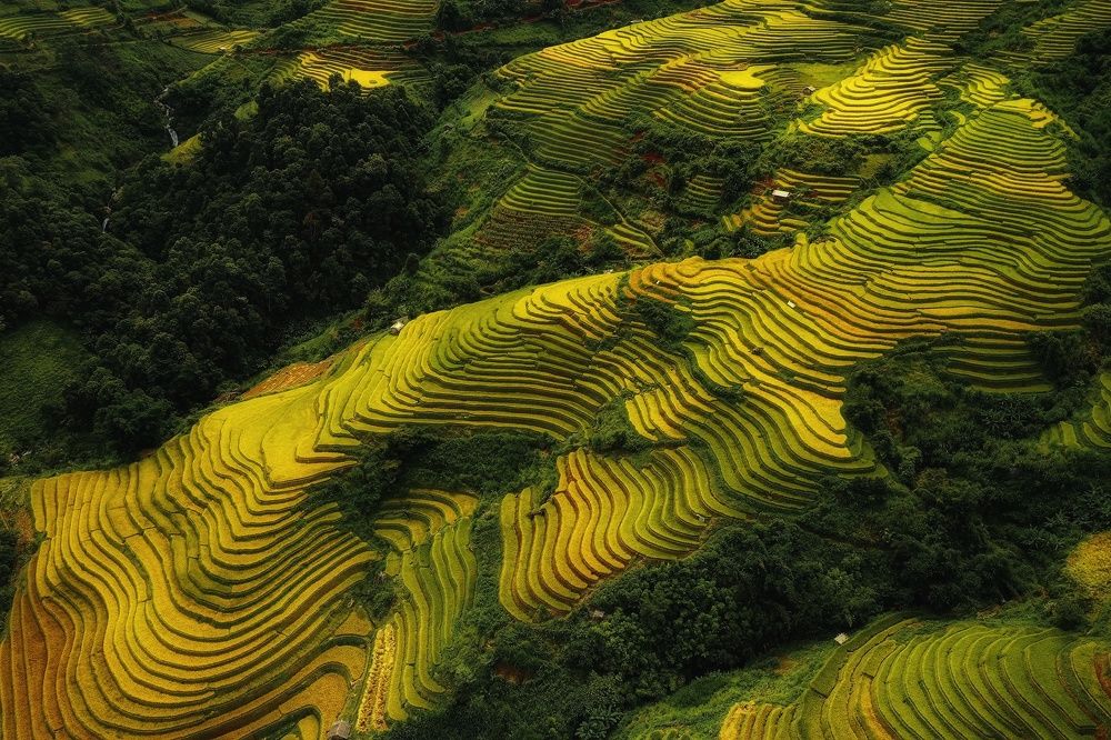 Photograph by Do Thi Thanh Binh