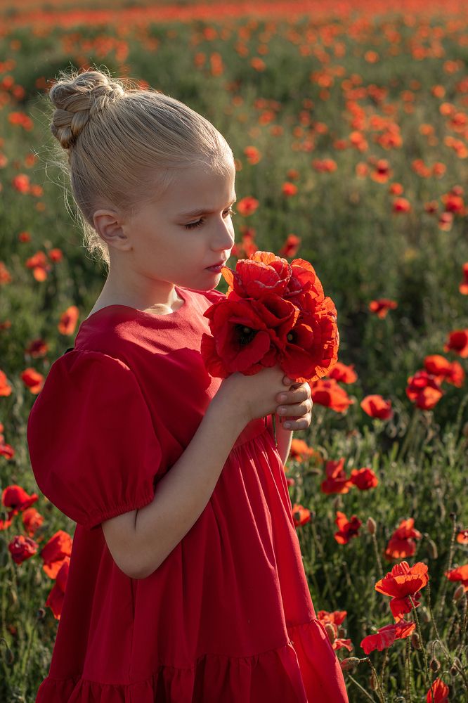 Фотография автора Светлана Дроголюбова