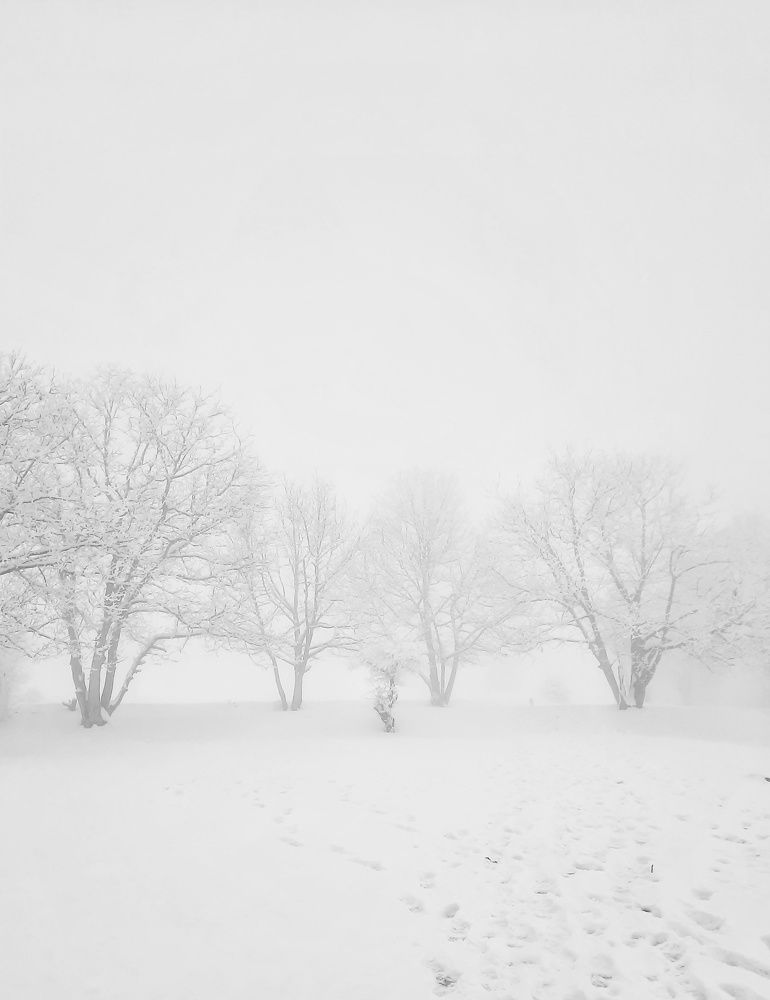 Photograph by Masoumeh Rahimi