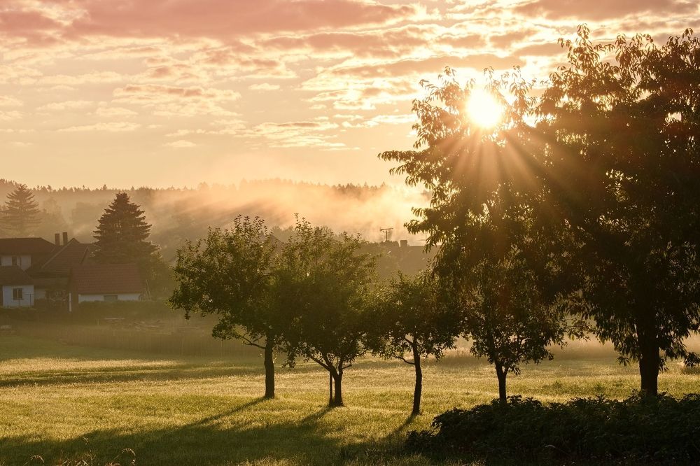 Photograph by Jan Musil