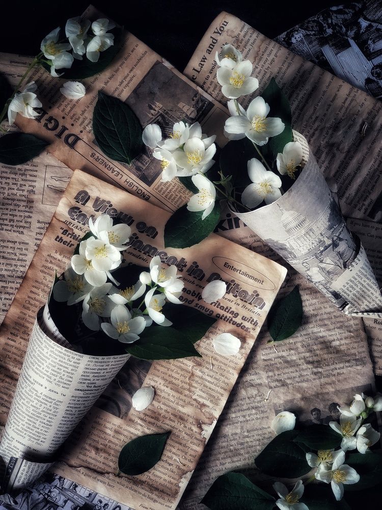 Фотография автора Ольга Игуменова