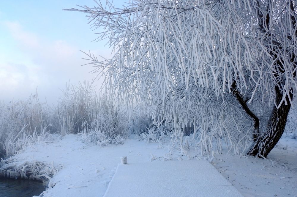 Photograph by Татьяна Калугина