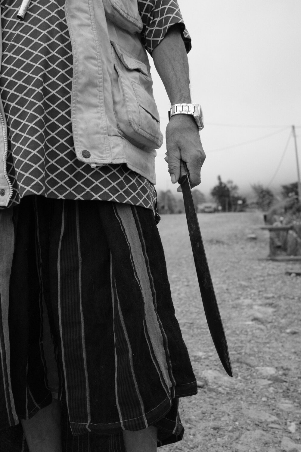 Photo #10133042
