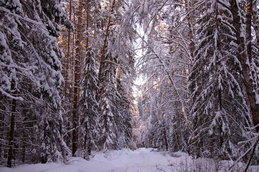 Photograph by Екатерина Воробьева