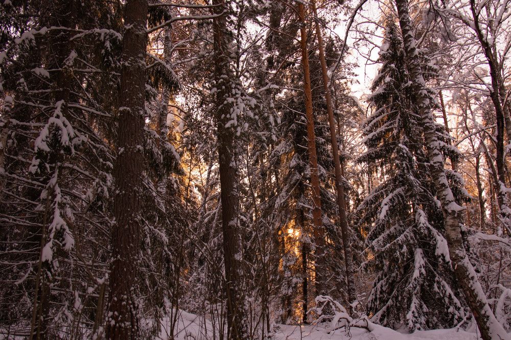 Photograph by Екатерина Воробьева
